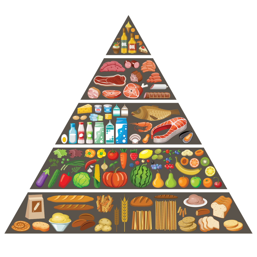 Food Pyramid Cartoon Images : Pyramid Clipart | Bodemawasuma