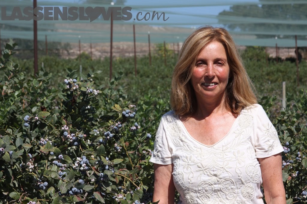 Forbidden+Farms+Blueberries, Sandra+Newman, Organic+farming, organic+blueberries