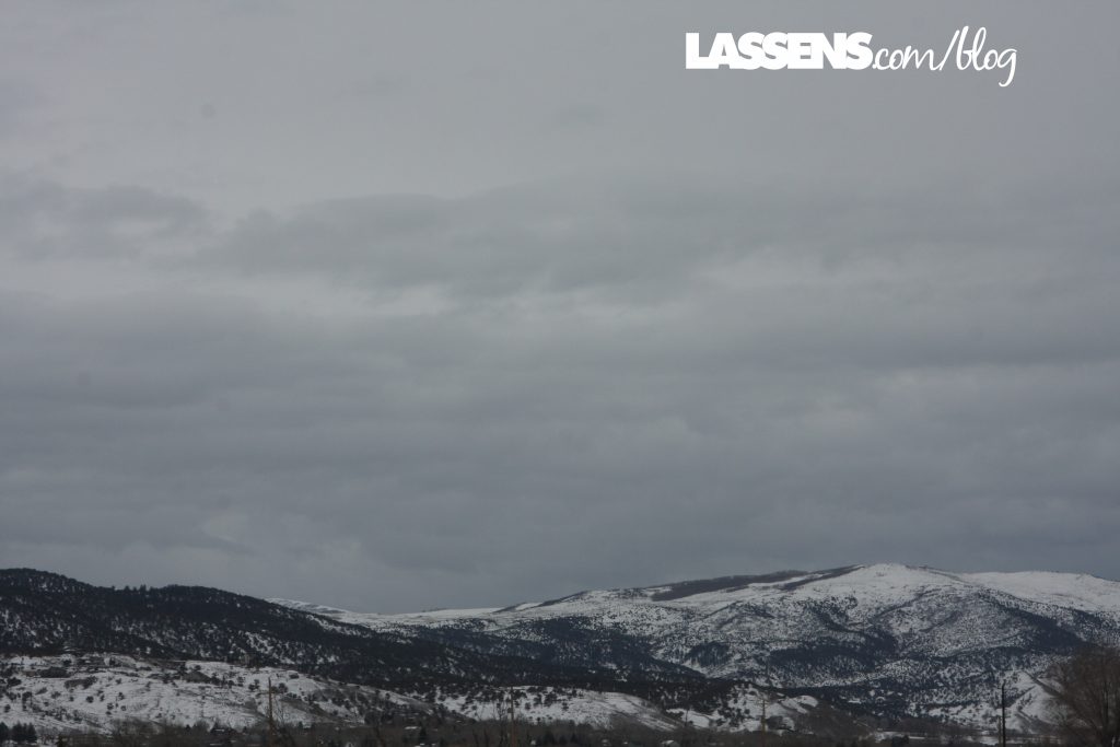 Rocky Mountains of Colorado, Lassen's Natural Foods and Vitamins, Lassen's, Lassens, Lassen's Kombucha